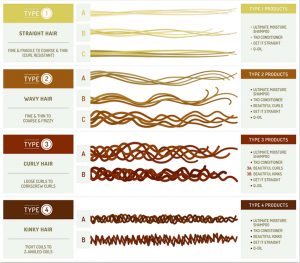 hair chart about what is hair texture typing