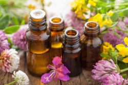 essential oils to help baldness and women