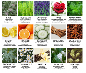 chart of essential oils