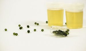 benefits of urine therapy