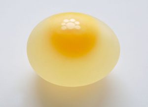 how to use eggs for hair growth