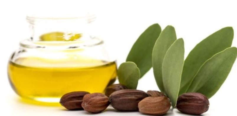 how to use jojoba oil for skin and hair jojoba oil and seeds