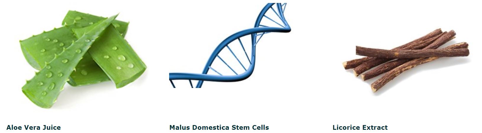 aloe vera stem cells licorice extract images